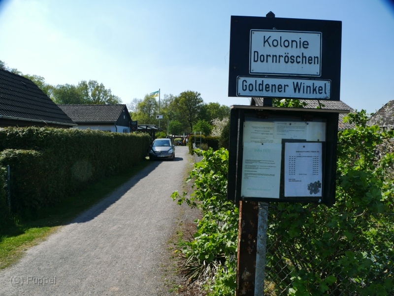 P05 P3560987.JPG
